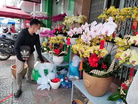 Cận Tết, Lan hồ điệp hút hàng, hàng trang trí tăng sức mua