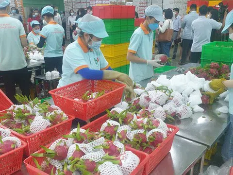 Tổng thư ký Hiệp hội Chế biến và xuất khẩu thủy sản Việt Nam: 'Giờ không có kênh nào đi Trung Quốc ổn cả'